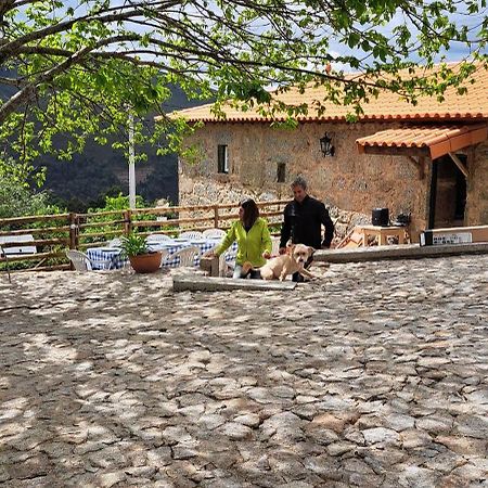 Refugio Dos Cartolas São Mamede de Infesta Exteriér fotografie
