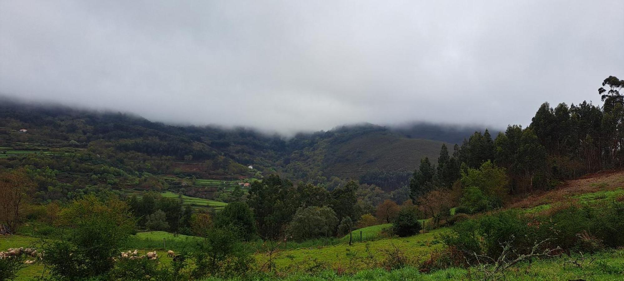 Refugio Dos Cartolas São Mamede de Infesta Exteriér fotografie