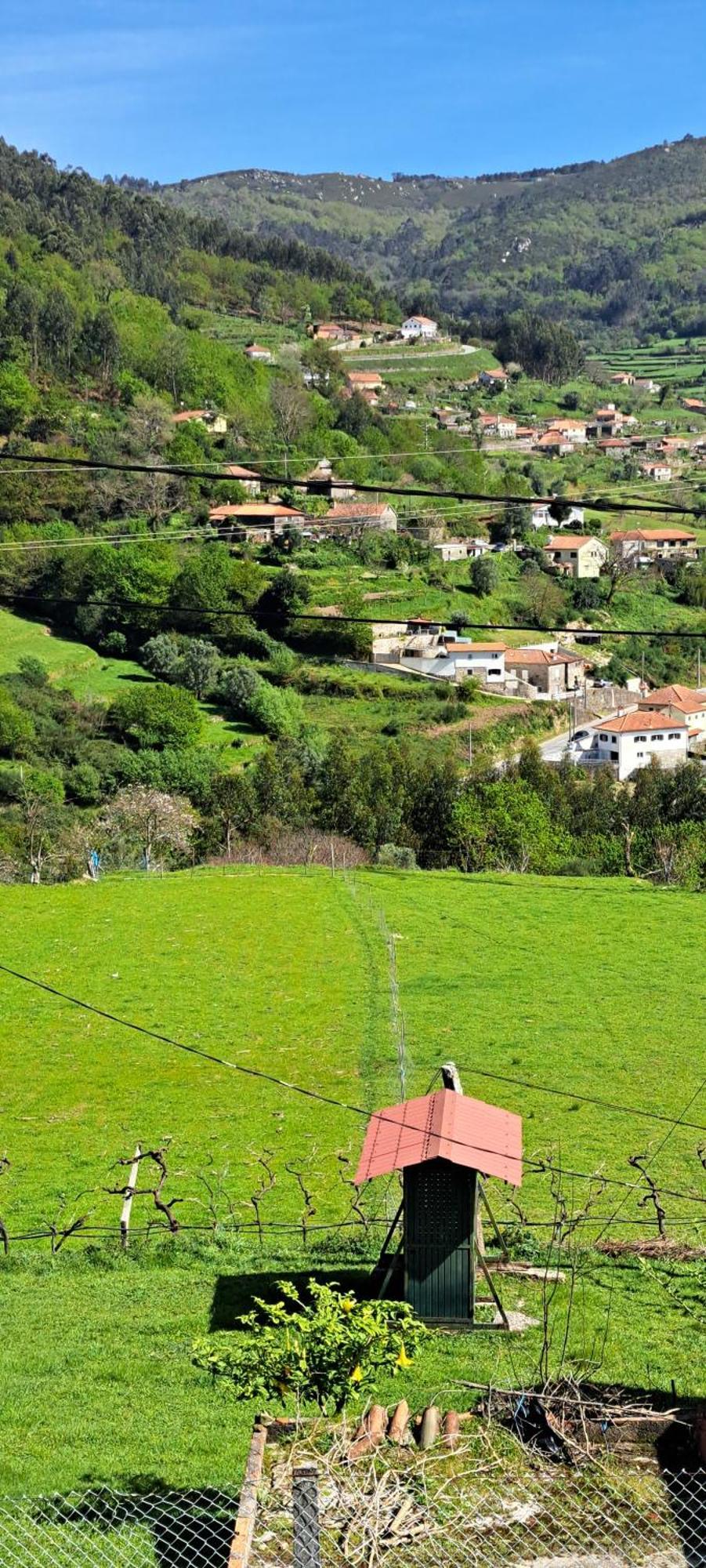 Refugio Dos Cartolas São Mamede de Infesta Exteriér fotografie